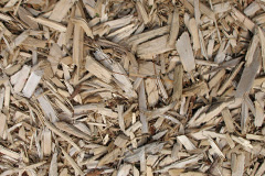 biomass boilers Beechwood